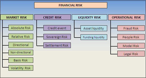  Financial Risks
